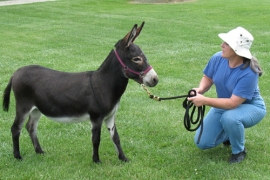 Martha Howard and her donkey